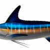 Home & Gifts Intradeco Fish Mounts | 100 Inch Striped Marlin