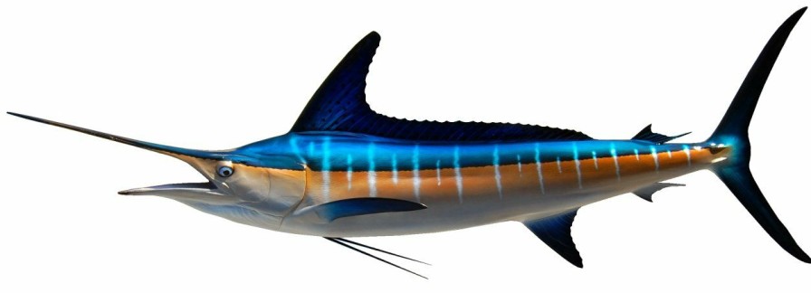 Home & Gifts Intradeco Fish Mounts | 100 Inch Striped Marlin