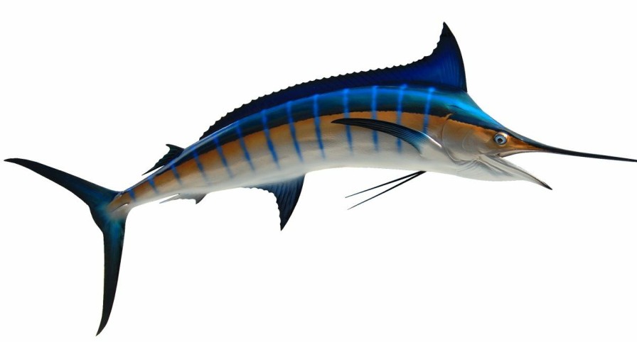 Home & Gifts Intradeco Fish Mounts | 89 Inch Blue Marlin