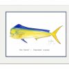 Artwork Intradeco | Bull Dolphin Mini Print