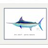 Artwork Intradeco | Blue Marlin Mini Print