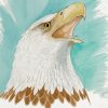 Artwork Intradeco | Bald Eagle Torso