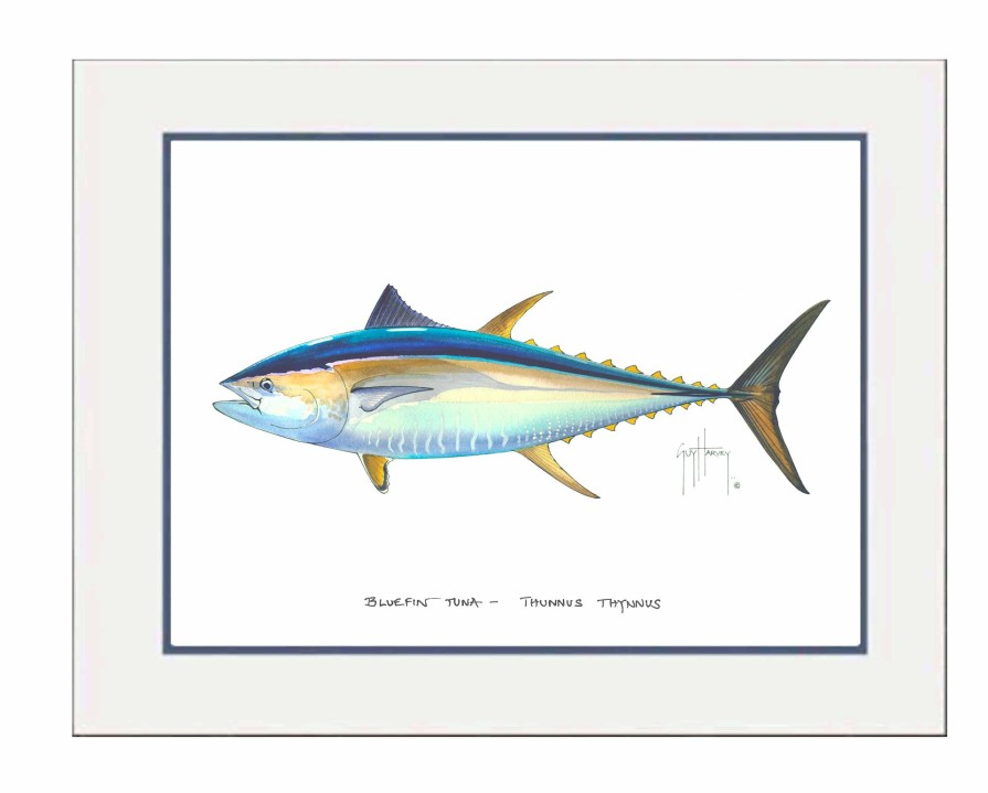 Artwork Intradeco | Bluefin Tuna Mini Print