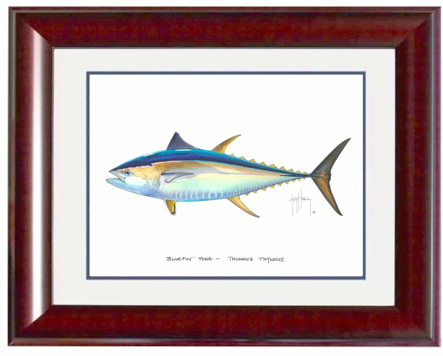 Artwork Intradeco | Bluefin Tuna Mini Print