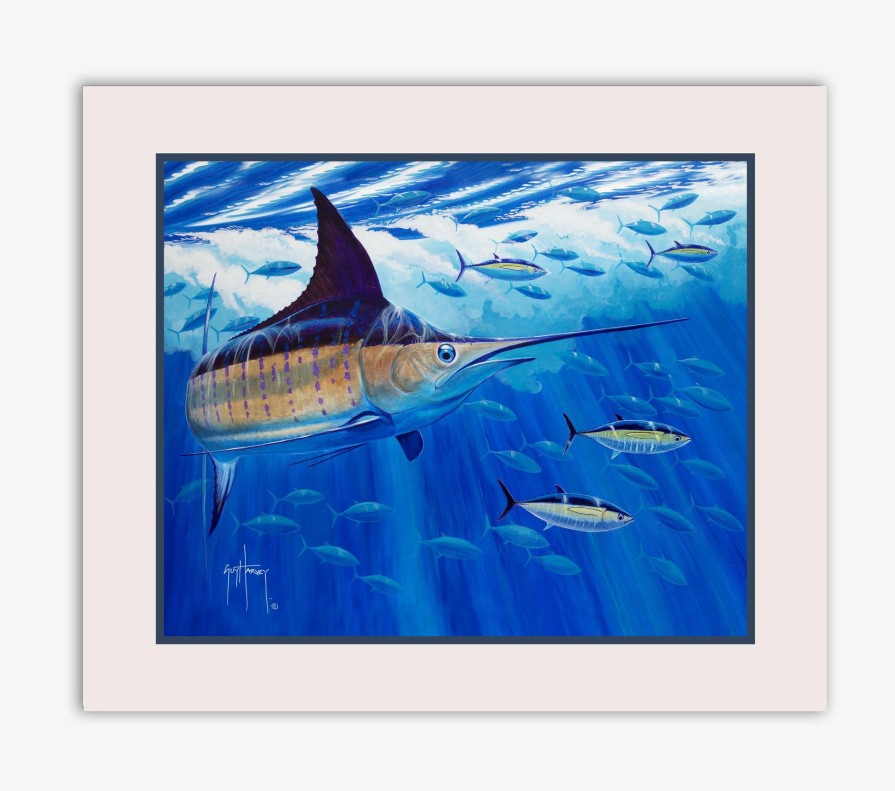 Home & Gifts Intradeco Books | Guy Harvey'S Underwater World Bundle