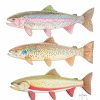 Artwork Intradeco | Triple Trout I