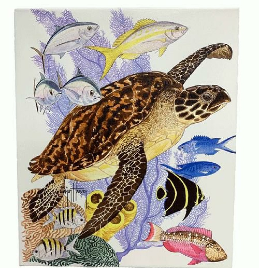 Artwork Intradeco | Tortuga Small Canvas Art