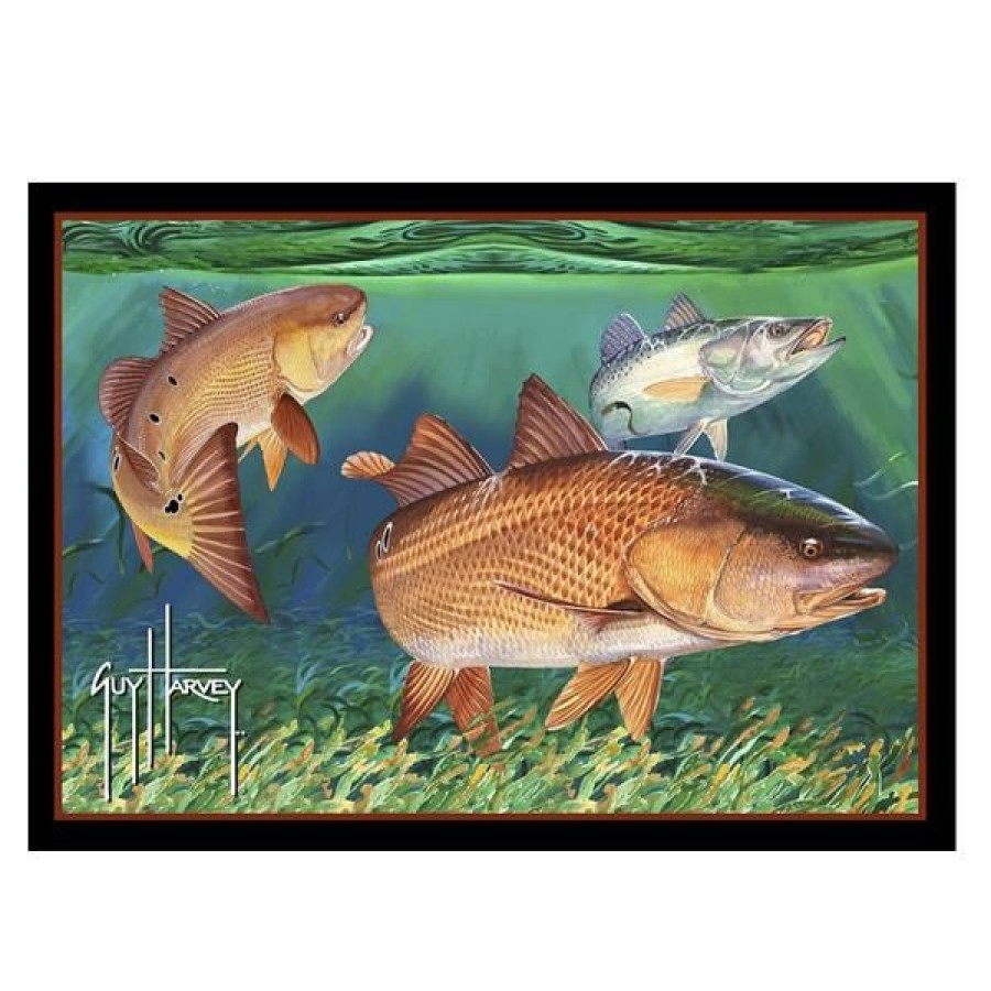 Home & Gifts Intradeco Area Rugs | Redfish Area Rug