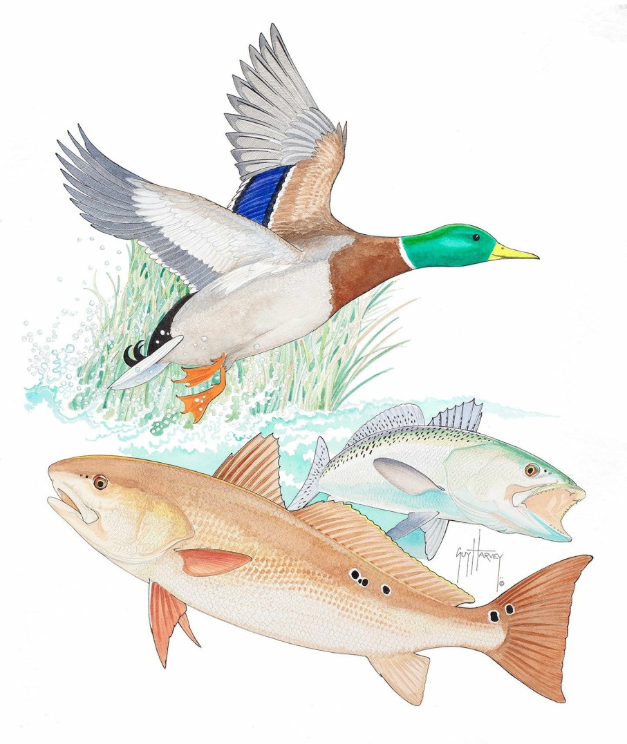 Artwork Intradeco | Ducks Unlimited