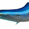 Home & Gifts Intradeco Fish Mounts | 62 Inch Dolphin Blue